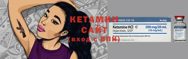 твердый Ладушкин