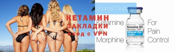твердый Ладушкин