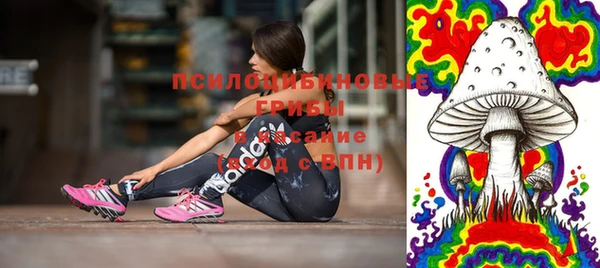 круглые Лагань