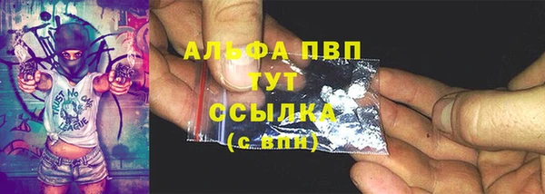 твердый Ладушкин