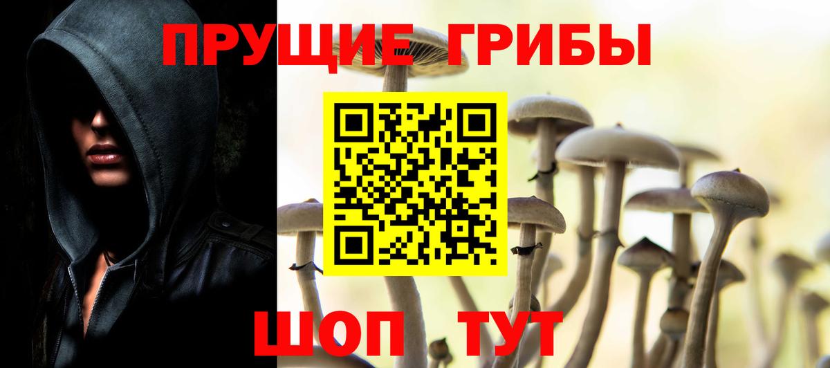 Галлюциногенные грибы Psilocybine cubensis  Галлюциногенные грибы Cubensis  Вход с VPN  Усинск 